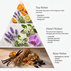 Lavender Intense
