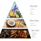 Piña Colada